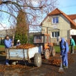 Podzimn brigda 2012